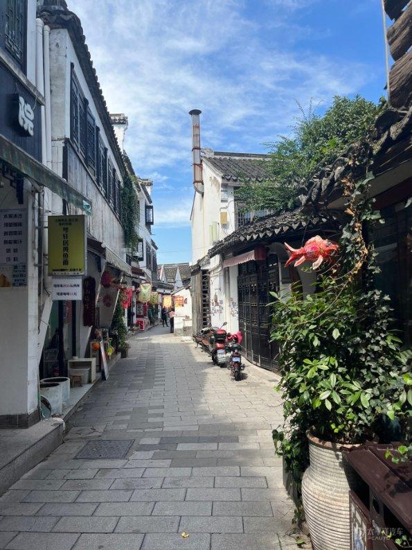 卡通骆驼救援